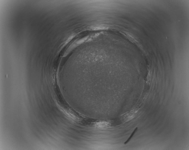 X0000058780168200509301124