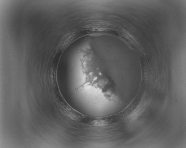 X0000058780169200509301124