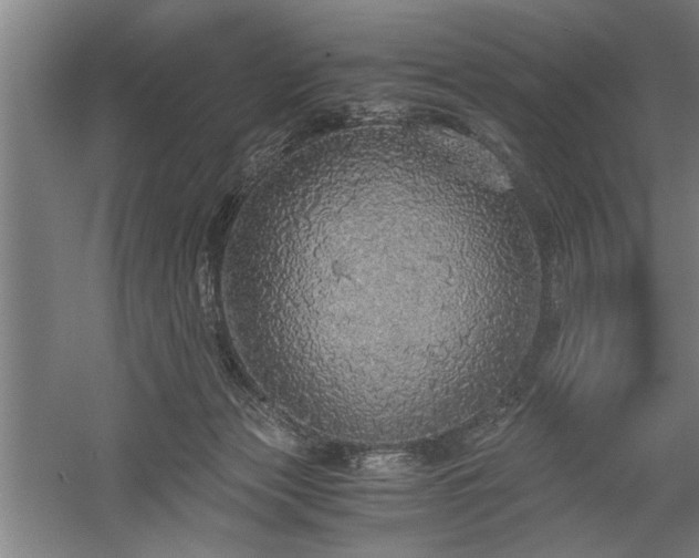 X0000058780173200509301124