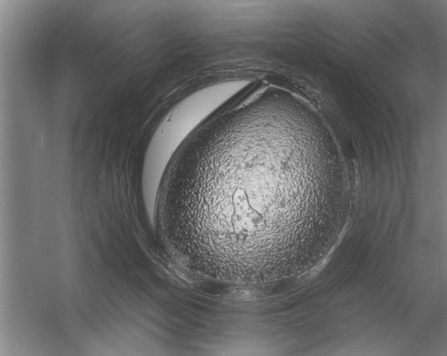 X0000058780174200509301124