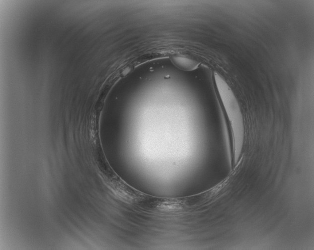 X0000058780175200509301124