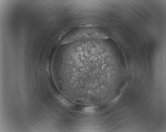 X0000058780178200509301124