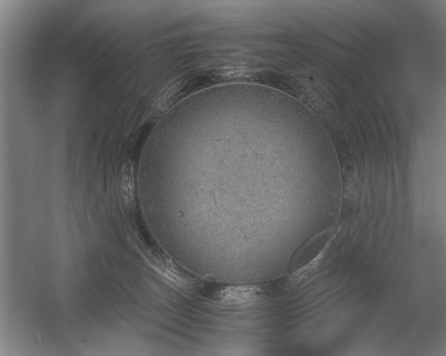 X0000058780179200509301124