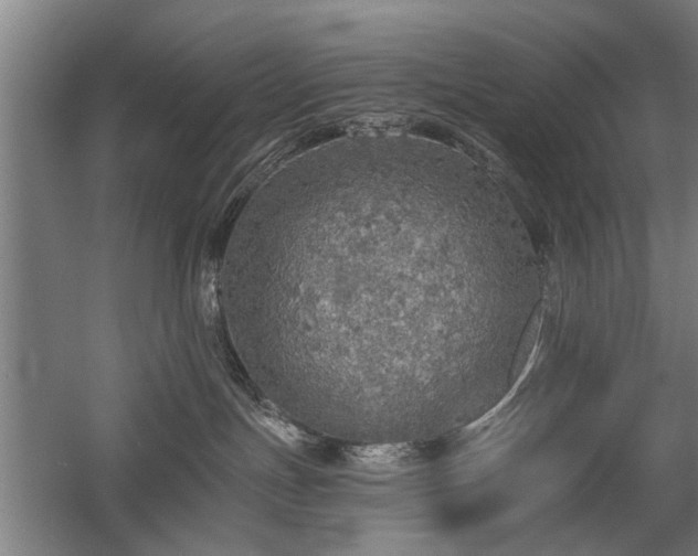 X0000058780191200509301124