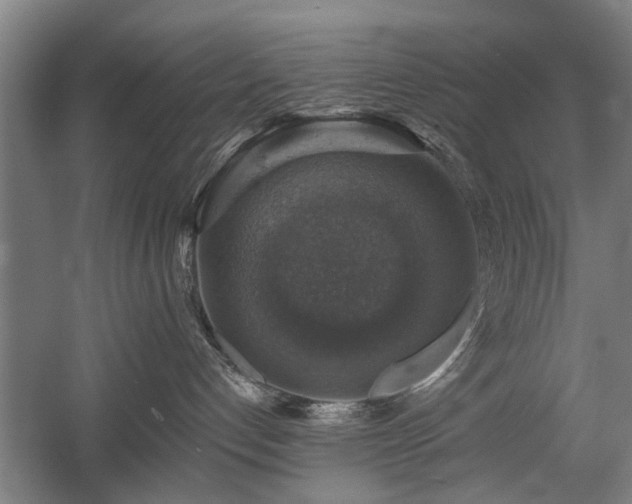 X0000058780192200509301124