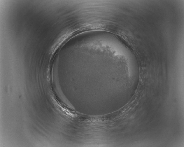 X0000058780194200509301124