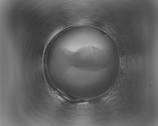 X0000058780196200509301124