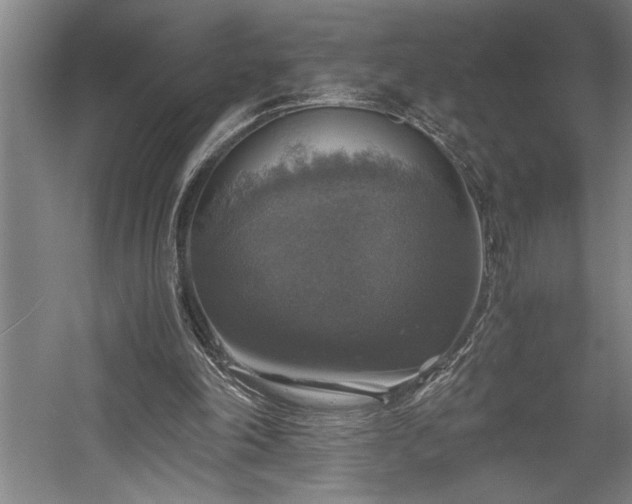 X0000058780198200509301123