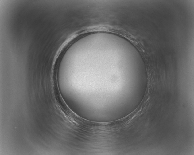 X0000058780200200509301123