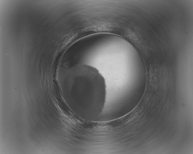 X0000058780202200509301123