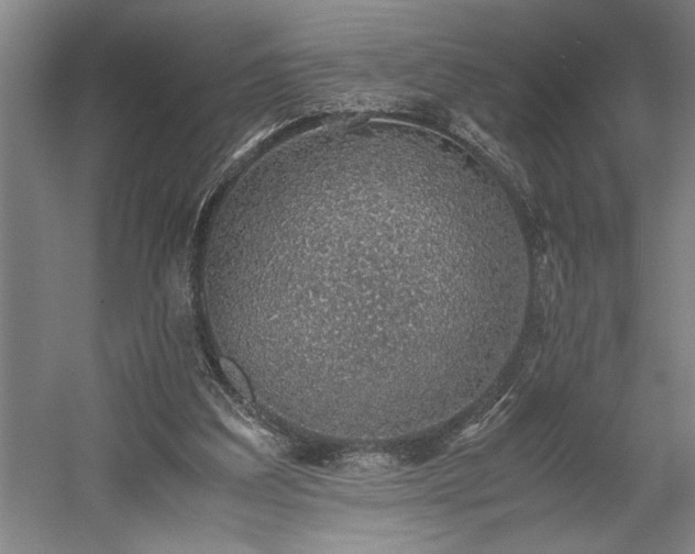 X0000058780203200509301123