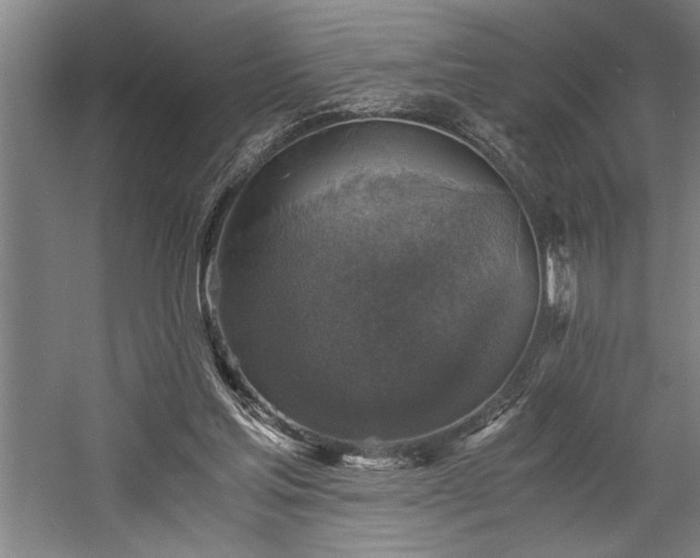 X0000058780205200509301123