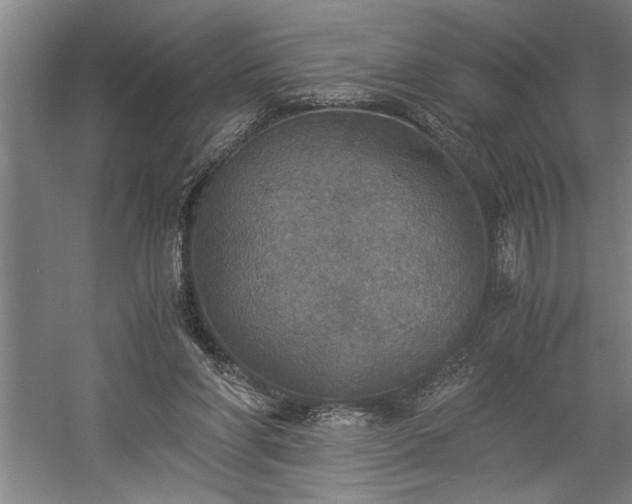 X0000058780206200509301123