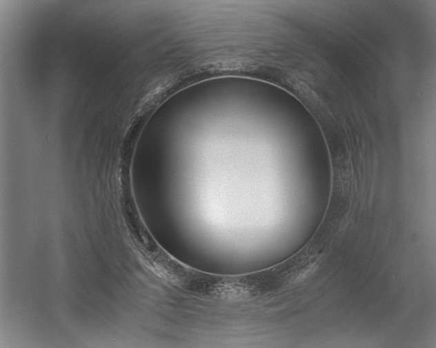 X0000058780207200509301123