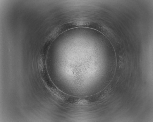 X0000058780210200509301123