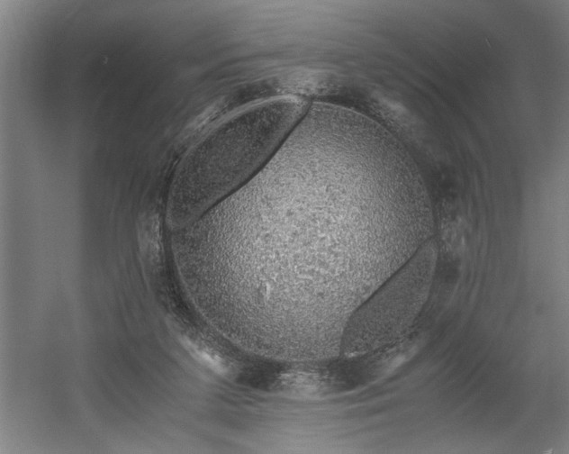 X0000058780211200509301123