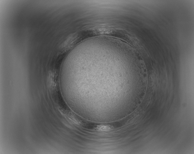 X0000058780218200509301123