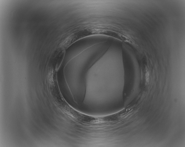 X0000058780219200509301123