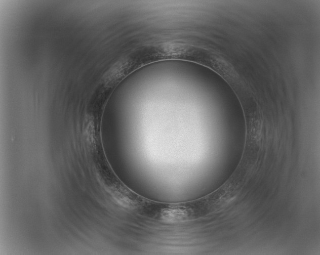 X0000058780220200509301123