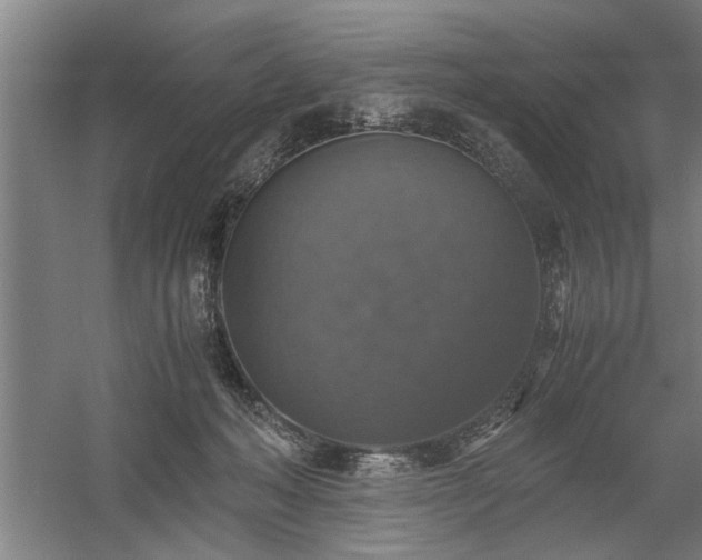 X0000058780222200509301123