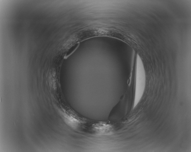 X0000058780223200509301123