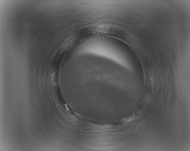 X0000058780224200509301123