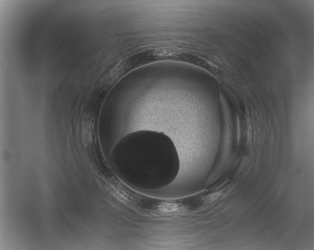 X0000058780227200509301123