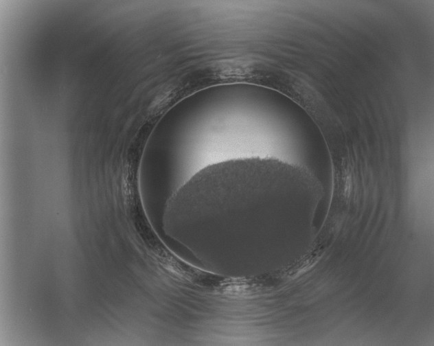 X0000058780228200509301123