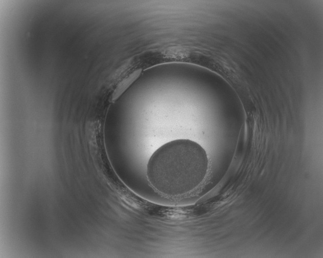 X0000058780229200509301123