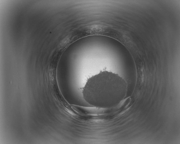 X0000058780232200509301123