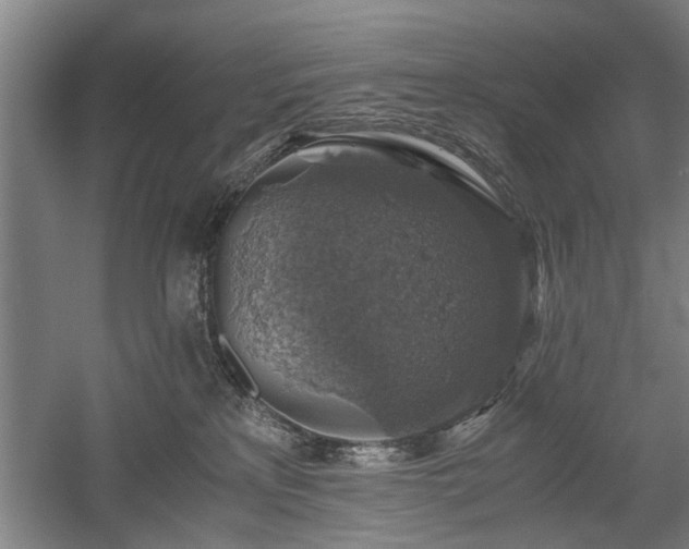 X0000058780233200509301123