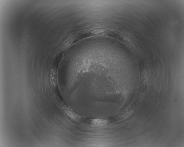 X0000058780234200509301123