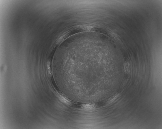 X0000058780238200509301123