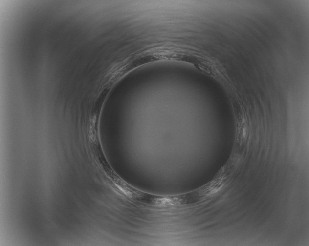 X0000058780239200509301123