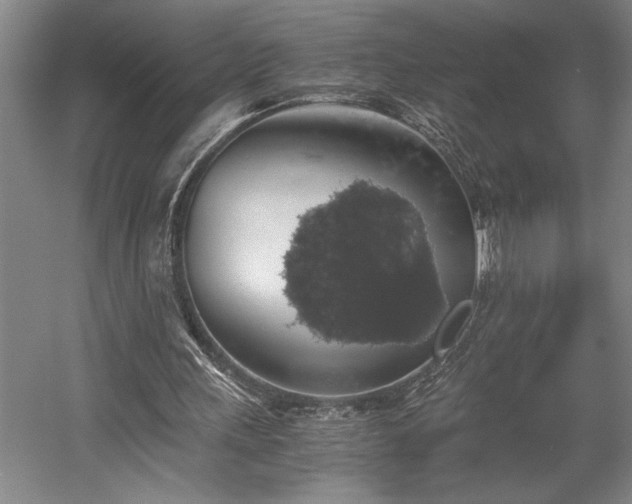 X0000058780243200509301122