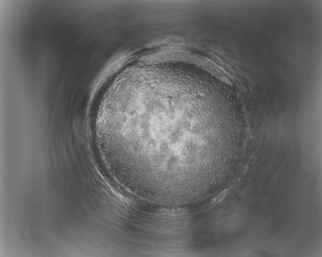 X0000058780245200509301122