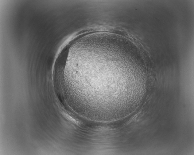 X0000058780246200509301122