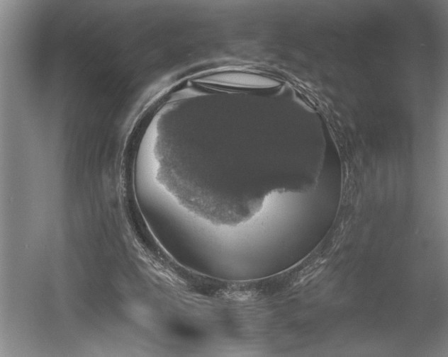 X0000058780247200509301122