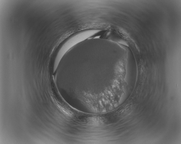 X0000058780250200509301122