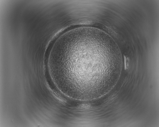 X0000058780252200509301122