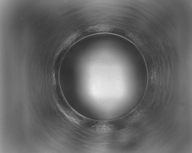 X0000058780254200509301122