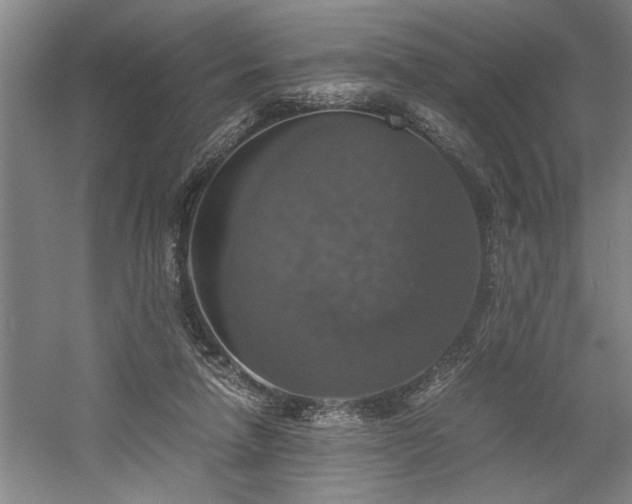 X0000058780258200509301122