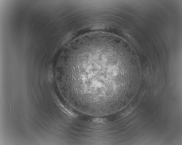 X0000058780261200509301122