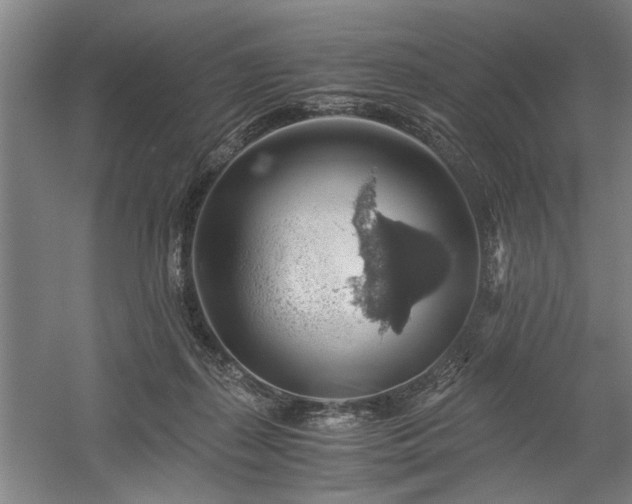 X0000058780267200509301122