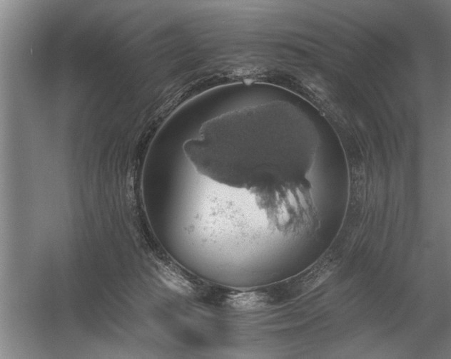 X0000058780269200509301122