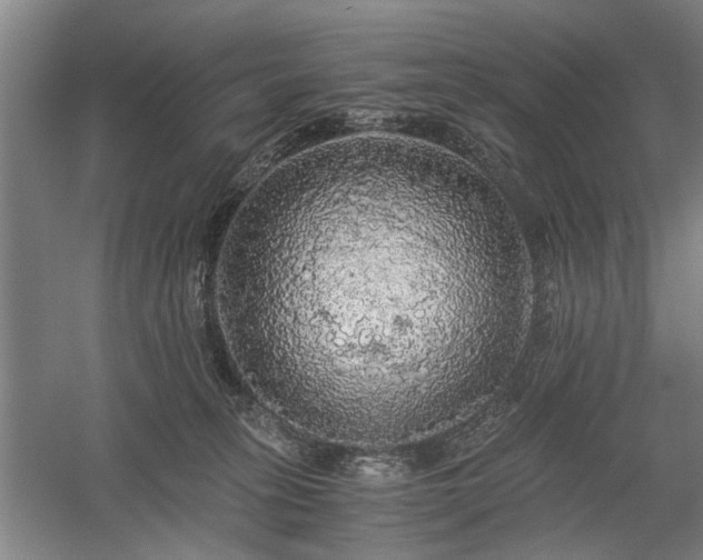 X0000058780275200509301123