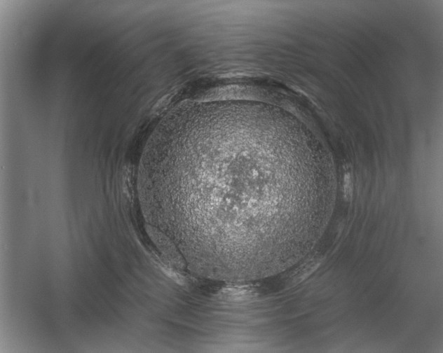 X0000058780280200509301123