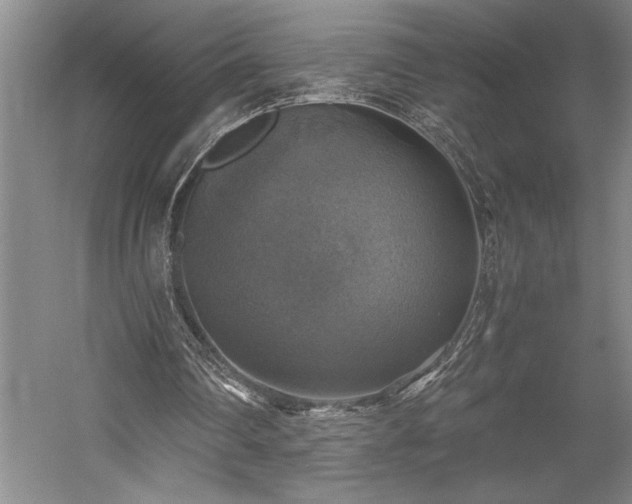 X0000058780290200509301122