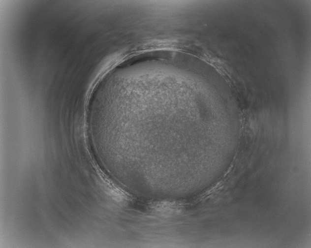 X0000058780293200509301122