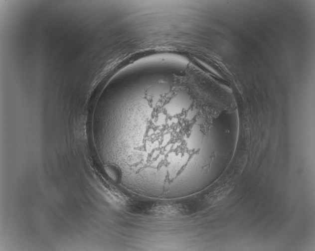 X0000058780299200509301122